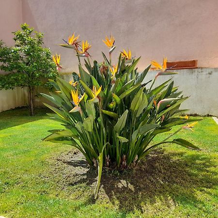 A Casa da Avó Ana Villa Arneiro das Milharicas Exterior foto