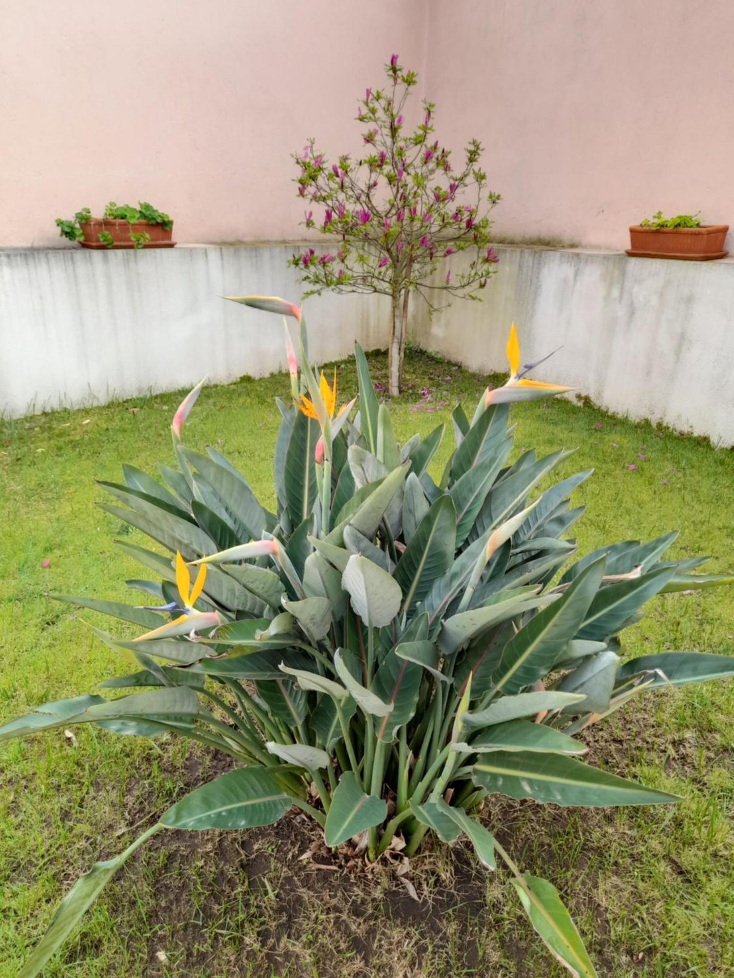 A Casa da Avó Ana Villa Arneiro das Milharicas Exterior foto