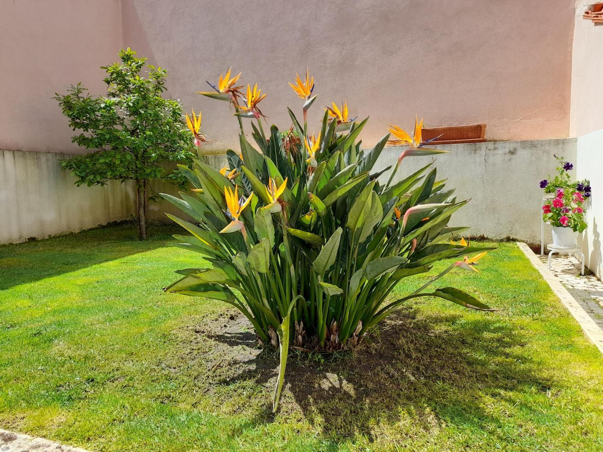 A Casa da Avó Ana Villa Arneiro das Milharicas Exterior foto